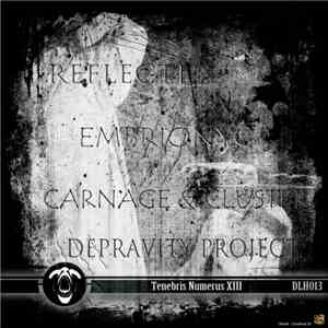 Various - Tenebris Numerus XIII