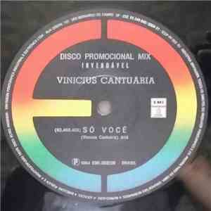 Vinicius Cantuária - Só Você