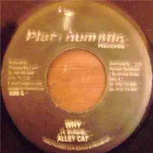 Alley Cat  - Why