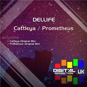 Dellife - Cattleya / Prometheus
