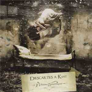 Descartes A Kant - Il Visore Lunatique