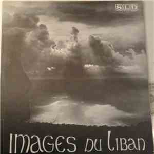 Faucon D'Oissel - Michel Evrard - Jean Marie Simon - Images Du Liban
