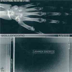 Lyssa / Wollongong - Lavanda Gastrica / In Times Of Trouble You Can Take My Hand