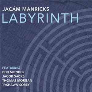Jacám Manricks - Labyrinth