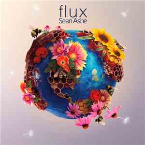 Sean Ashe - Flux