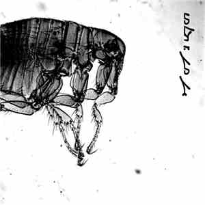 ܢܘܠܐ ܕܓܘܓܝ - Serm((O))n