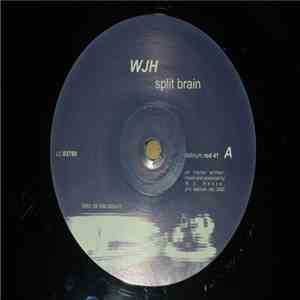 WJH - Split Brain