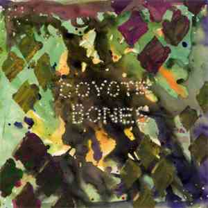 Coyote Bones - Calm Before The Storm That Never Came
