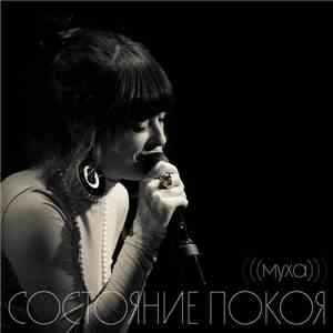 Муха - Состояние покоя
