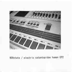 909state - Electric Catantopidae Human EP2