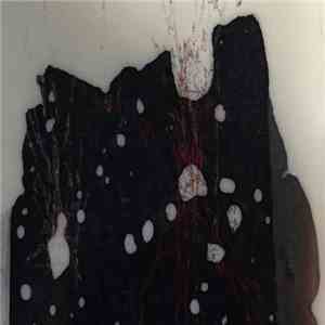 Allison Bishop - Remnants of a Day Suspended