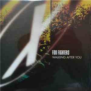 Foo Fighters - Walking After You