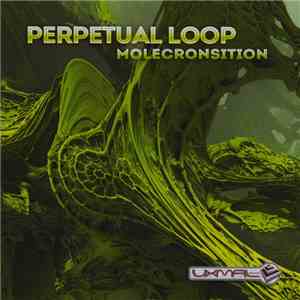 Perpetual Loop - Molecronsition