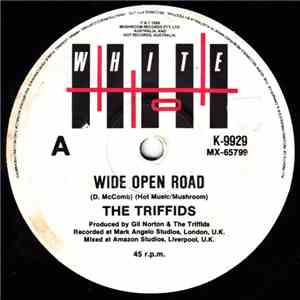 The Triffids - Wide Open Road