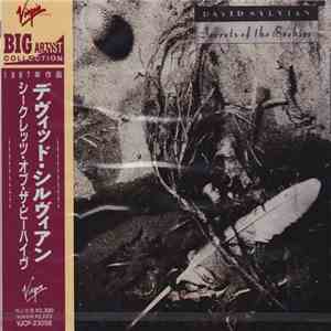 David Sylvian - Secrets Of The Beehive