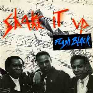 Flash Black - Shake It Up