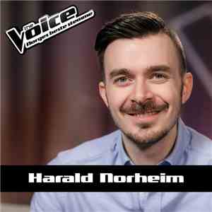 Harald Norheim - Somebody To Love