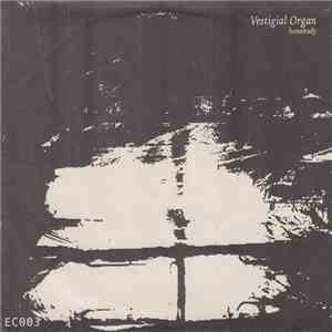 Homebody / Heaven For Real - Vestigial Organ / O So Tired