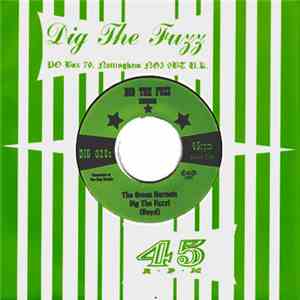 The Green Hornets - Dig The Fuzz!