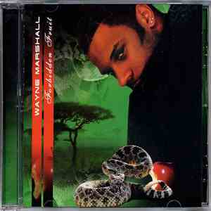Wayne Marshall - Forbidden Fruit
