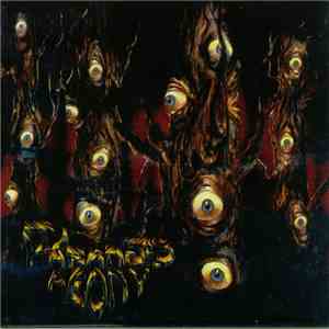 Paranoid Agony - A View In Agony