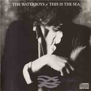 The Waterboys - This Is The Sea