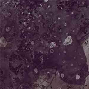 Pinkish Black - Razed To The Ground