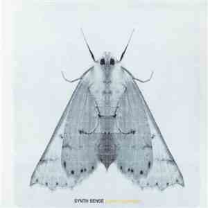 Synth Sense - Perfect Symmetry