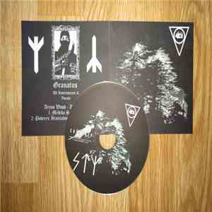 Aryan Wood - Demo IV