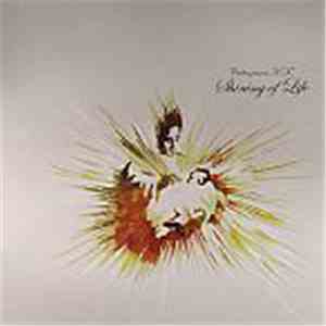 Calm Presents K.F. - Shining Of Life