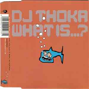 DJ Thoka - What Is...?