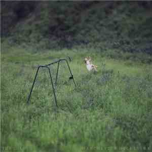 Manchester Orchestra - The Gold