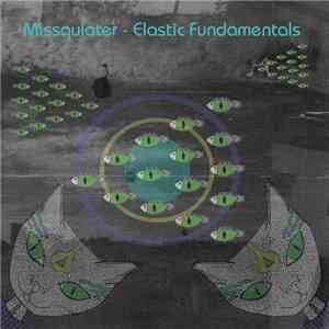 Missqulater - Elastic Fundamentals