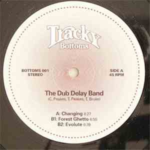 The Dub Delay Band - Changing