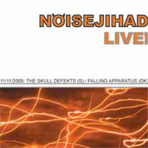 The Skull Defekts / Fallingapparatus - Noisejihad Live 11/11/2005