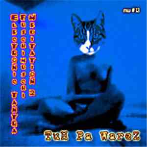 Tuh Pa Warez - Electronic Tantra Fushimushi Meditation II