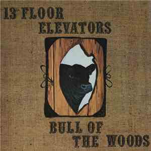 13th Floor Elevators - Bull Of The Woods
