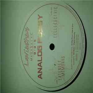 Analog Pussy - Extendet Memorys / Eelleeectric