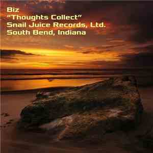 Biz - Thoughts Collect