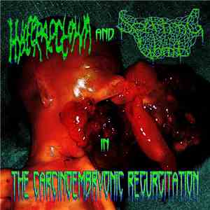 Hysteraectomia / Spitting Womb - The Carcinoembryonic Regurgitation