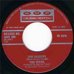 The Seeds - 1000 Shadows