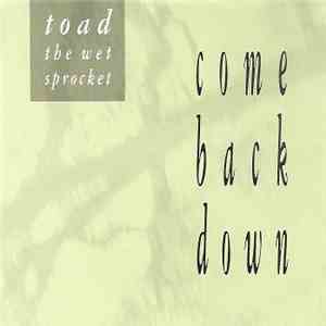 Toad The Wet Sprocket - Come Back Down