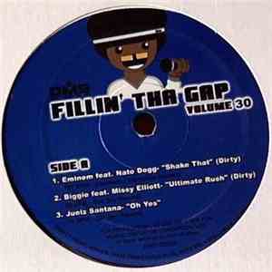 Various - Fillin' Tha Gap Volume 30