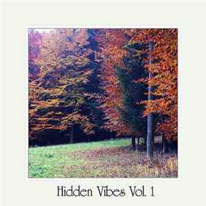 Various - Hidden Vibes Vol. 1