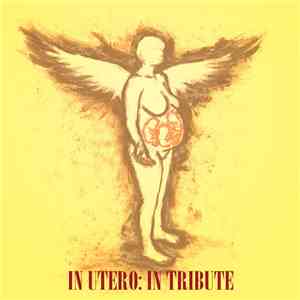 Various - In Utero, In Tribute, In Entirety