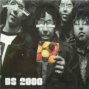 BS 2000 - BS 2000
