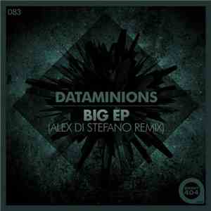Dataminions - Big EP