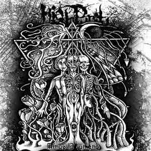 High Purity - Mínus 13 Lumenů