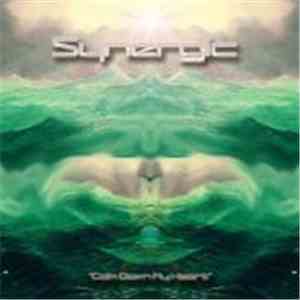 Synergic - Calm Down My Heart
