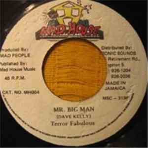 Terror Fabulous - Mr Big Man